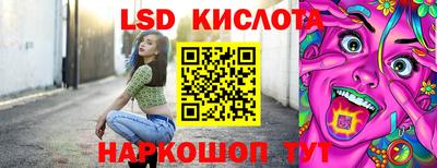 гидра Новодвинск
