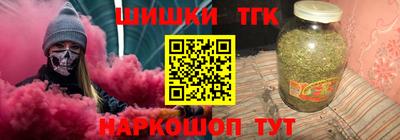 гидра Новодвинск