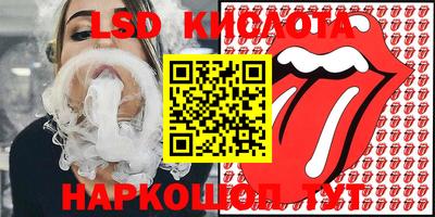 гидра Новодвинск