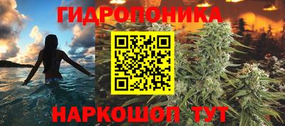гидра Новодвинск