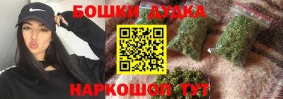 гидра Новодвинск