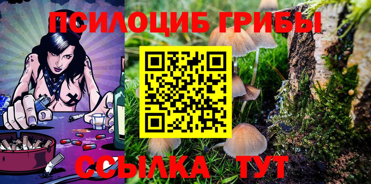 Псилоцибиновые грибы Cubensis Тула